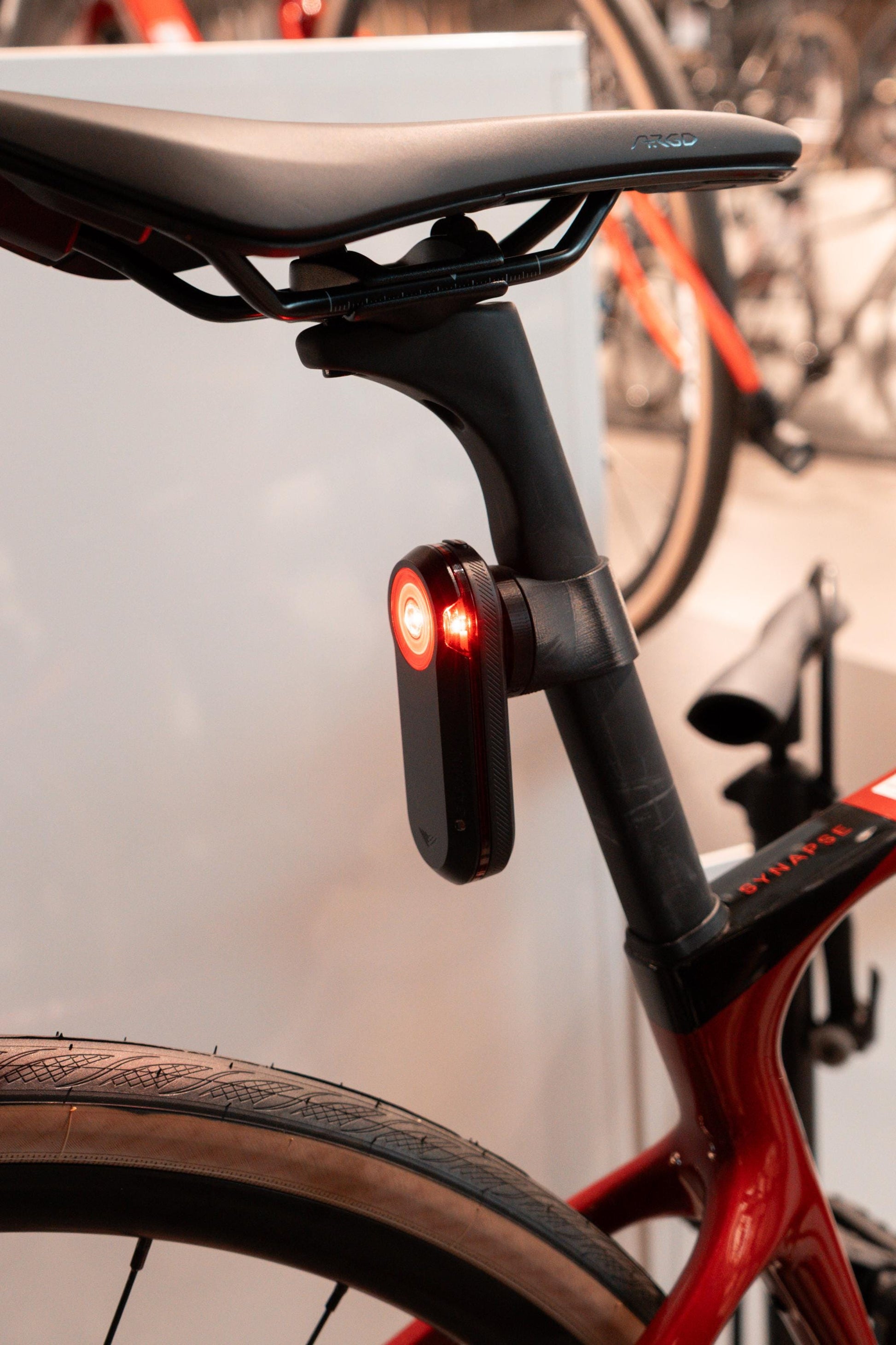 Cannondale Synapse - Garmin Varia | Bryton Gardia | Magene L508 | Wahoo Trackr Radar Halter / Mount